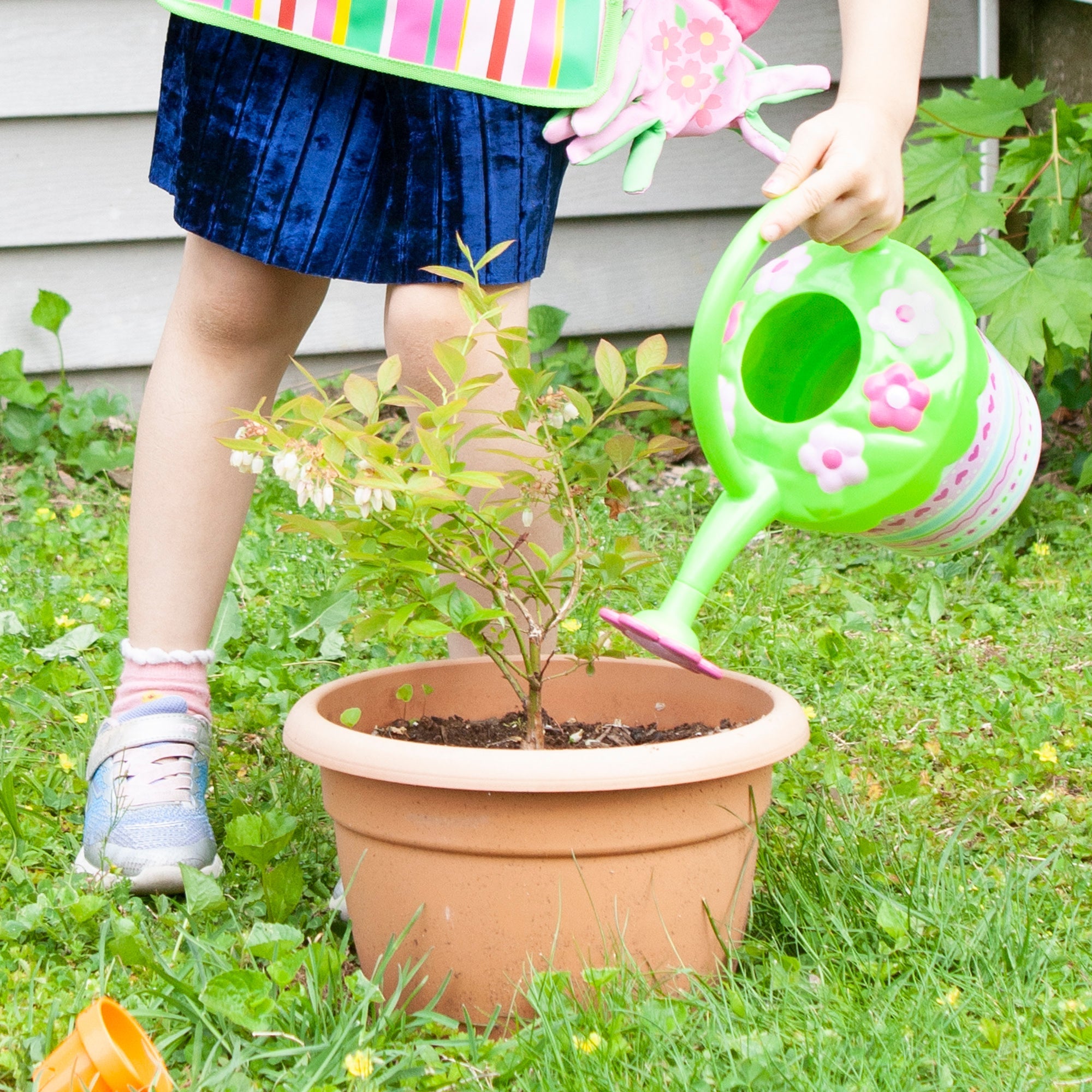 Outdoor Toys Premium Quality Pretty Petals Watering Can - Durable Material and Safe Design for Daily Kids Play
