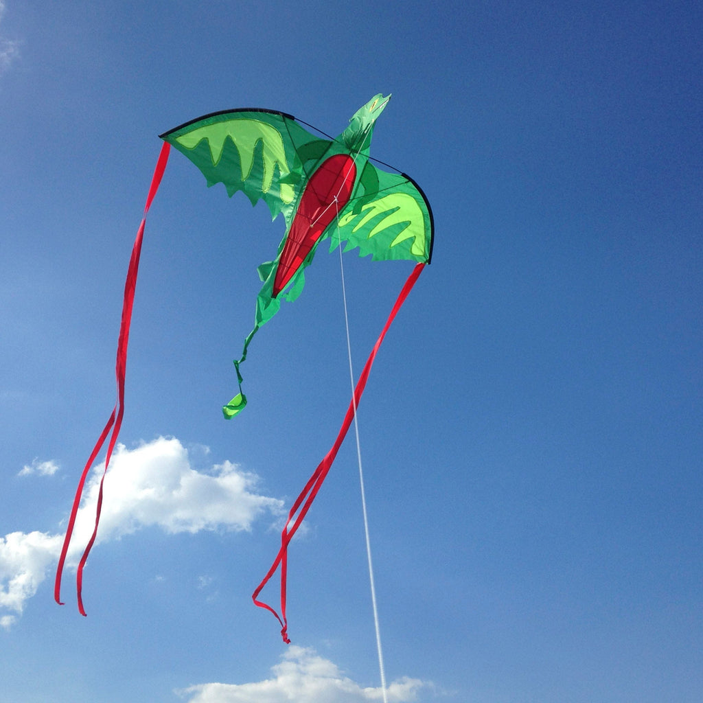 Outdoor Toys Premium Quality Winged Dragon Shaped Kite - Durable Material and Safe Design for Daily Kids Play