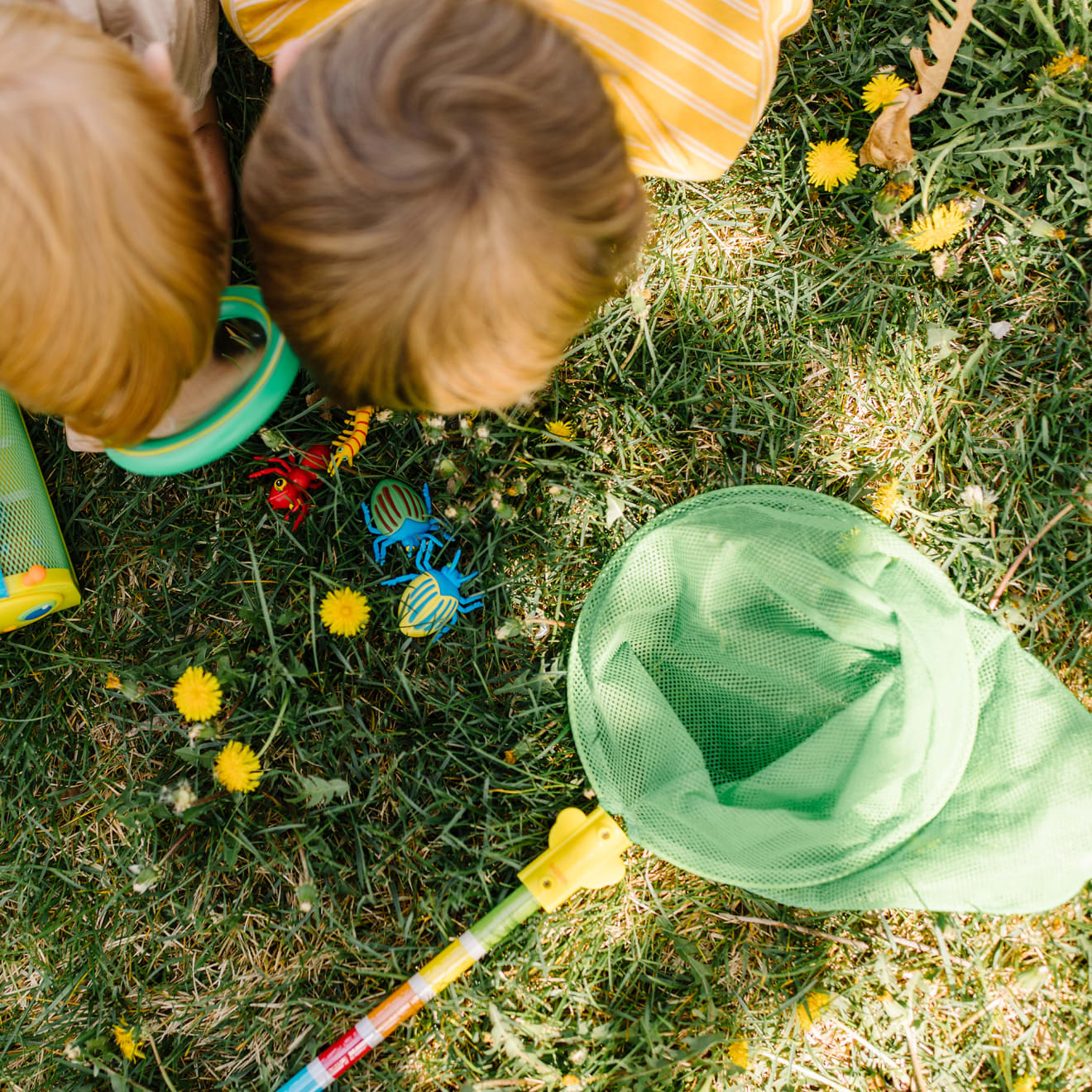Outdoor Toys Premium Quality Bag of Bugs - Durable Material and Safe Design for Daily Kids Play
