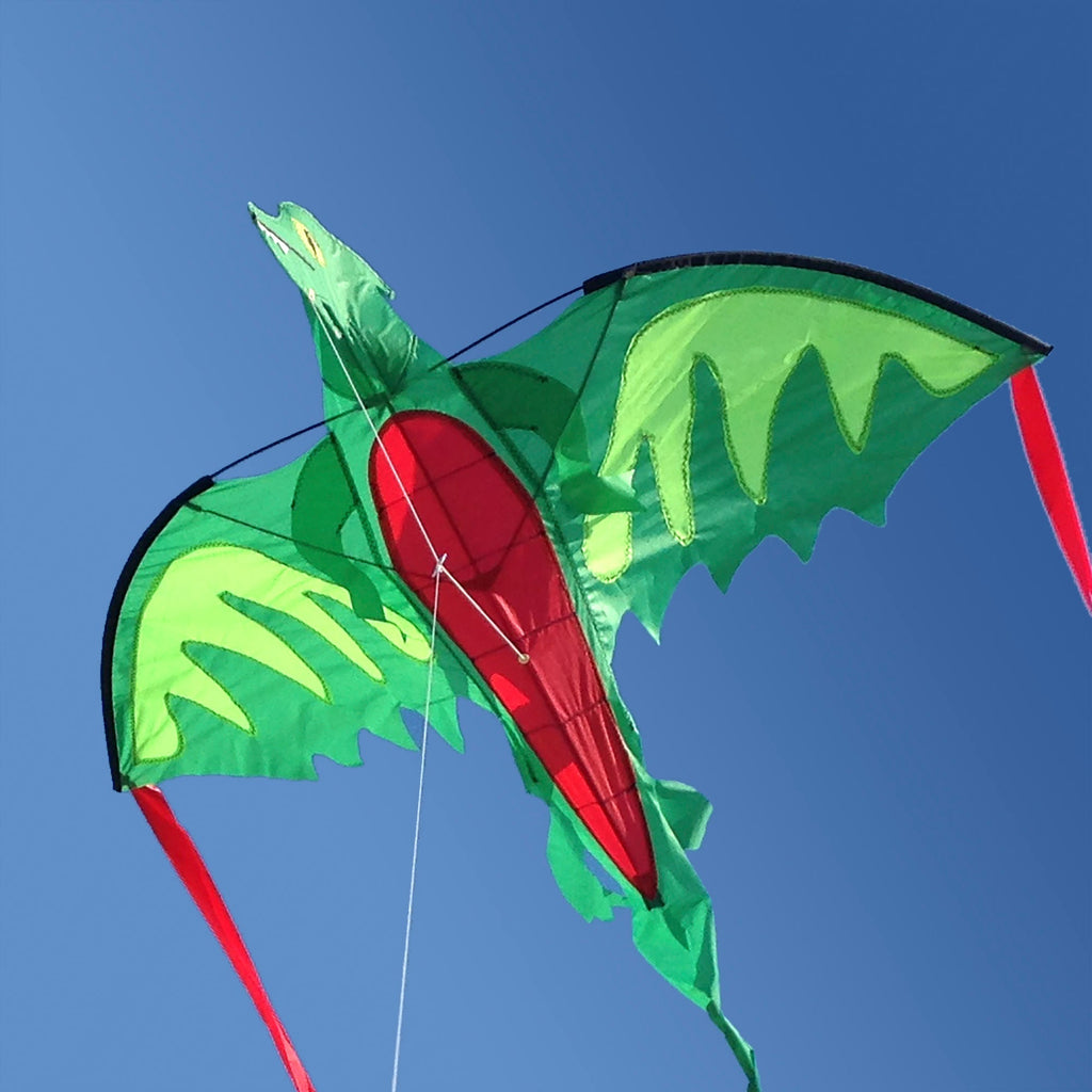 Outdoor Toys Premium Quality Winged Dragon Shaped Kite - Durable Material and Safe Design for Daily Kids Play